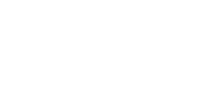 導入フロー図