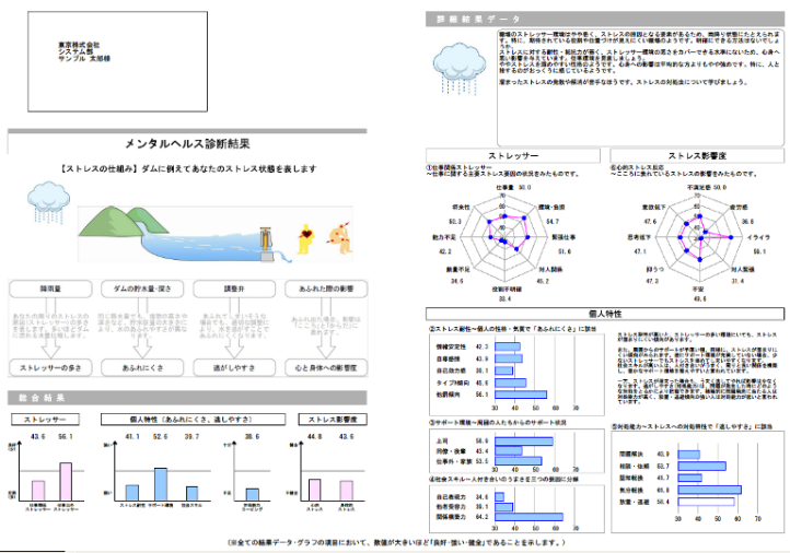 ストレス診断サンプル（個人向け帳票）